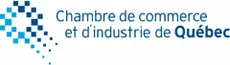 Logo-_CCIQ